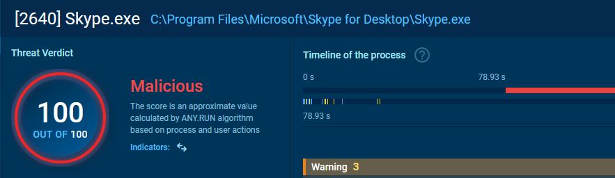 Abbildung 13: Skype.exe Details