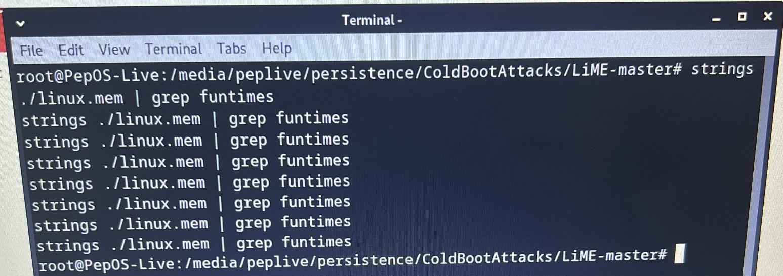 Abbildung 8: Extrahieren des PoC Strings aus dem erzeugtem RAM-Dump